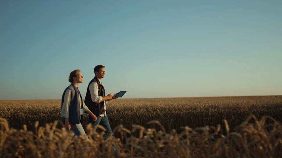 A farmer and a agribusiness employee walking through a wheat field