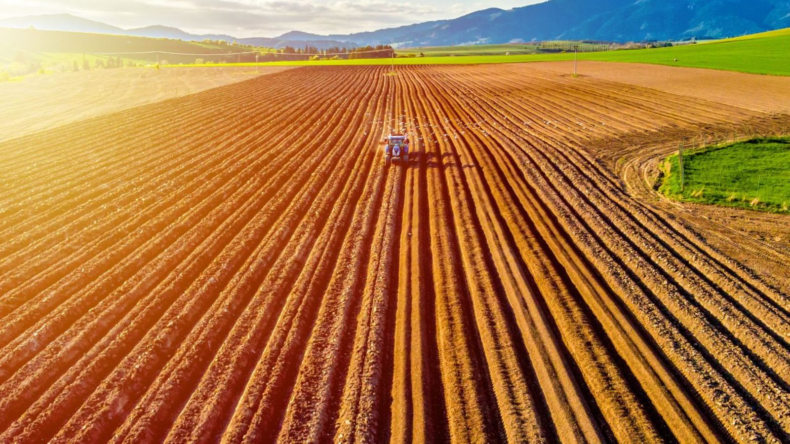 Most Recent US News: Why the Minneapolis Standoff and Taiwan Chip Deal Actually Matter