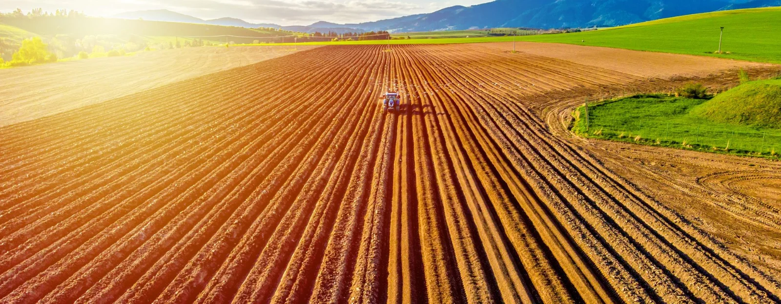Agriculture farmer going through their field.