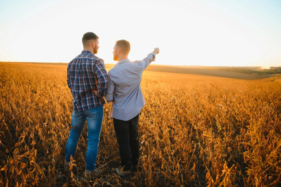 Farmer and grain merchandiser meeting in a wheat field to determine future trading.